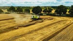 Ukraine's grain harvest at risk of falling by 10%